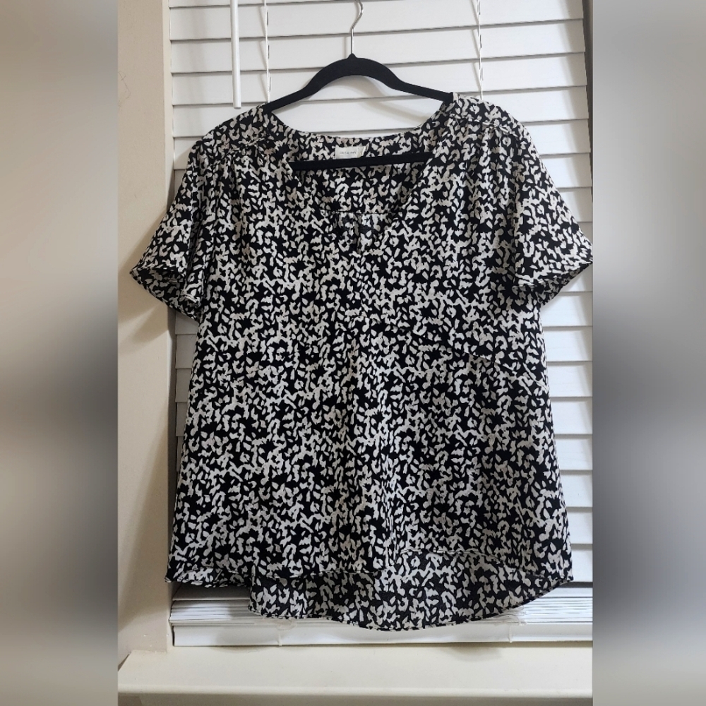 Stylish Black and Cream Women's Top Gentle Fawn